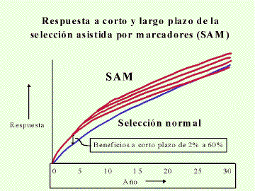 figura2