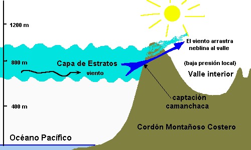 Formación de Camanchacas